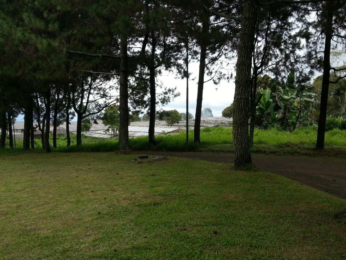 Villa 5Cemara Lembang Eksteriør bilde